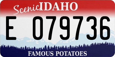 ID license plate E079736