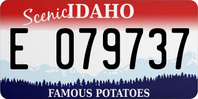ID license plate E079737