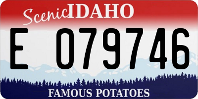 ID license plate E079746