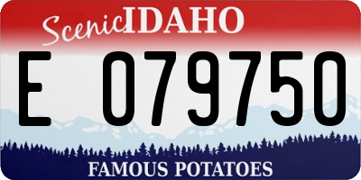 ID license plate E079750