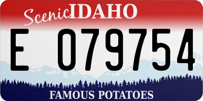 ID license plate E079754