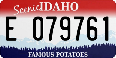ID license plate E079761