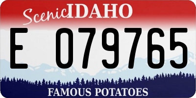 ID license plate E079765