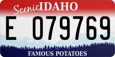 ID license plate E079769