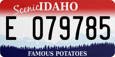 ID license plate E079785