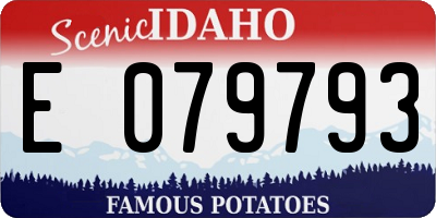 ID license plate E079793
