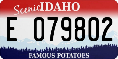 ID license plate E079802