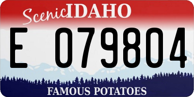 ID license plate E079804