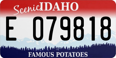 ID license plate E079818