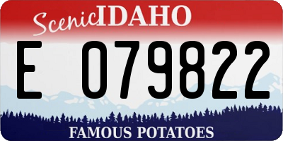 ID license plate E079822