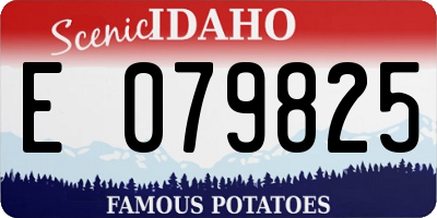 ID license plate E079825