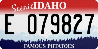 ID license plate E079827
