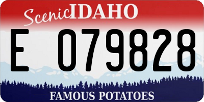 ID license plate E079828
