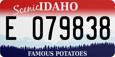 ID license plate E079838