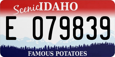 ID license plate E079839