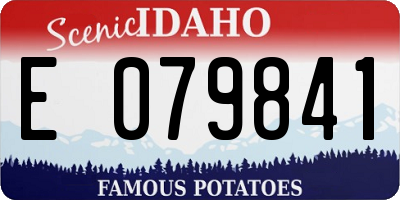 ID license plate E079841