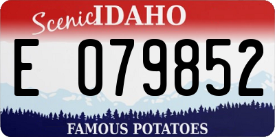 ID license plate E079852