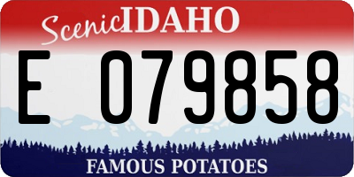 ID license plate E079858