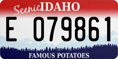 ID license plate E079861