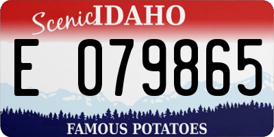 ID license plate E079865