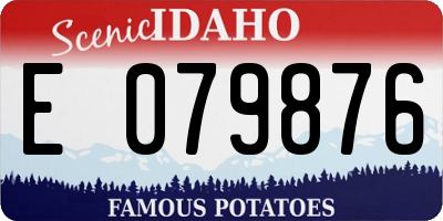 ID license plate E079876