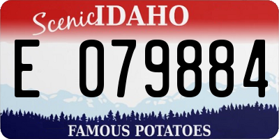ID license plate E079884