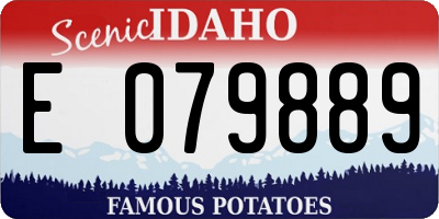 ID license plate E079889