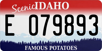 ID license plate E079893