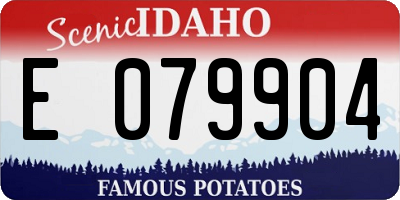 ID license plate E079904