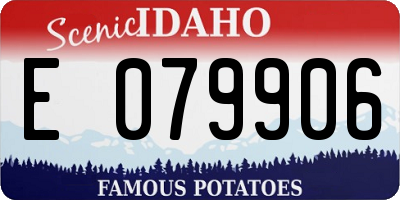 ID license plate E079906