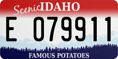 ID license plate E079911