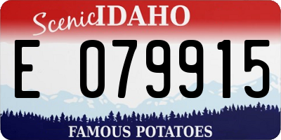 ID license plate E079915