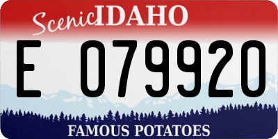 ID license plate E079920
