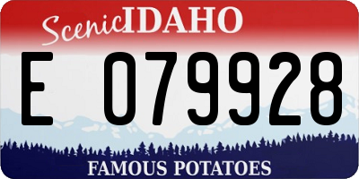 ID license plate E079928