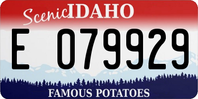 ID license plate E079929