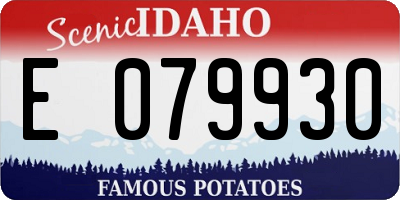 ID license plate E079930
