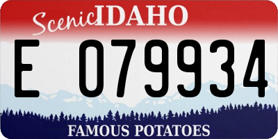 ID license plate E079934