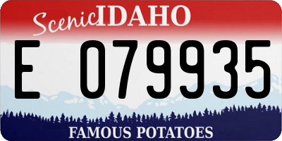 ID license plate E079935