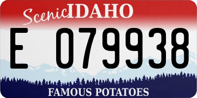 ID license plate E079938