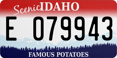 ID license plate E079943