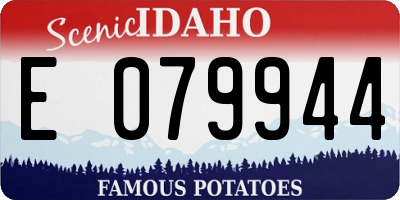 ID license plate E079944
