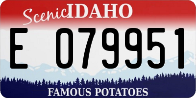ID license plate E079951