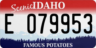 ID license plate E079953