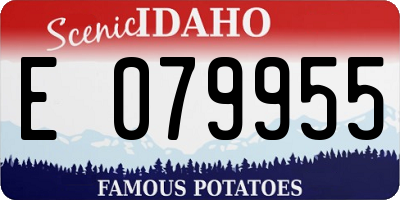 ID license plate E079955