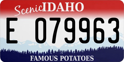 ID license plate E079963