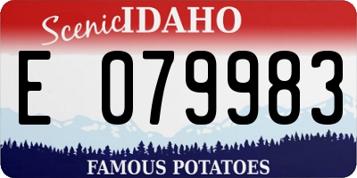 ID license plate E079983