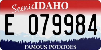 ID license plate E079984