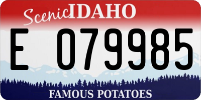 ID license plate E079985