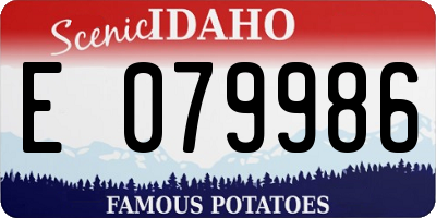 ID license plate E079986