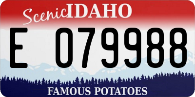 ID license plate E079988